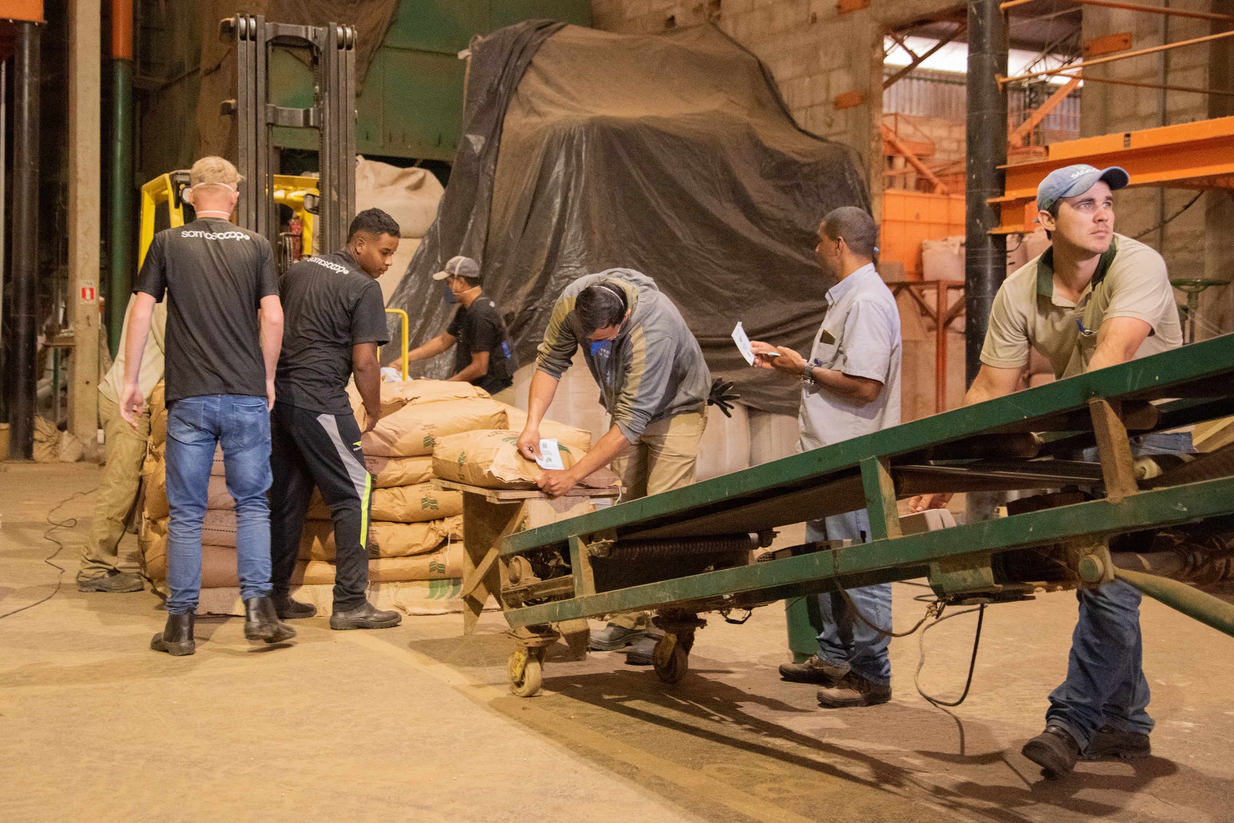Produtor de café conilon do Brasil tenta recuperar mercado