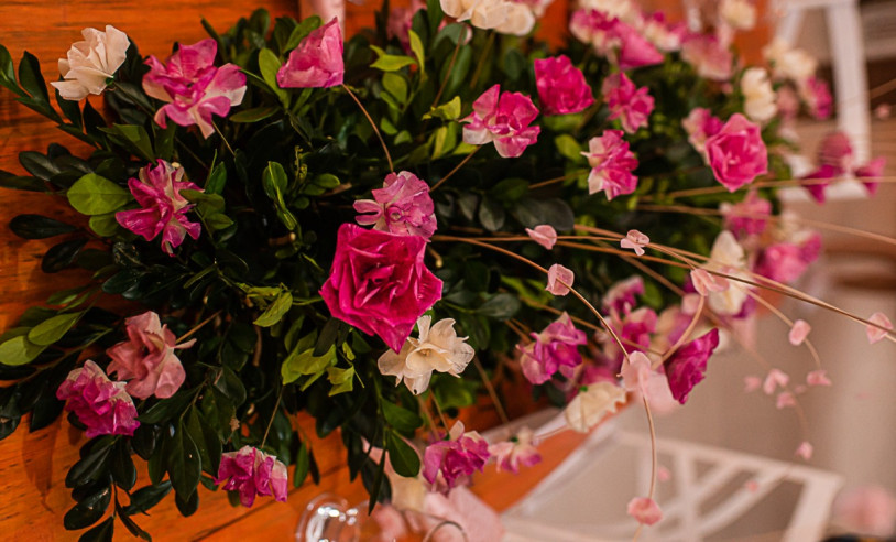 ASN Espírito Santo - Agência Sebrae de Notícias