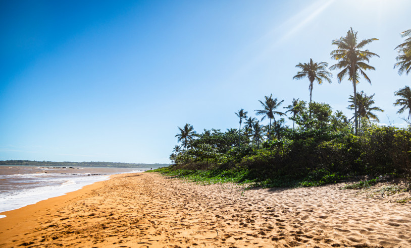 ASN Espírito Santo - Agência Sebrae de Notícias