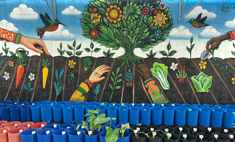 ASN Espírito Santo - Agência Sebrae de Notícias