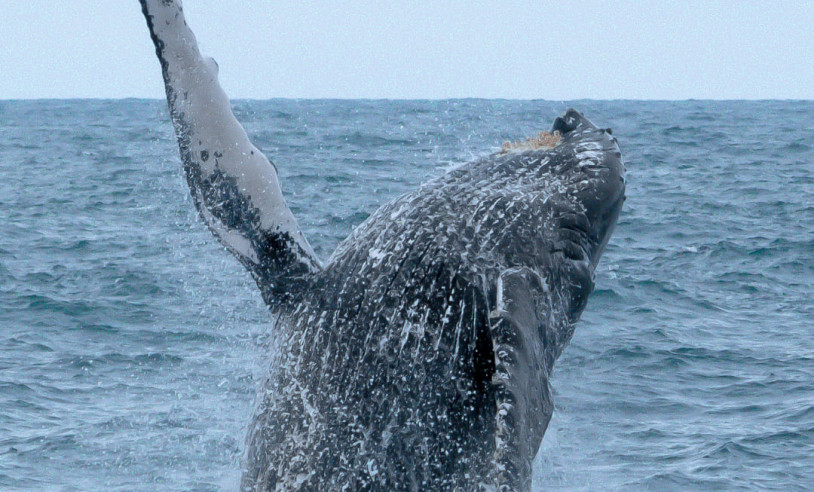 ASN Espírito Santo - Agência Sebrae de Notícias