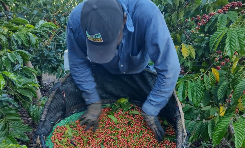 ASN Espírito Santo - Agência Sebrae de Notícias