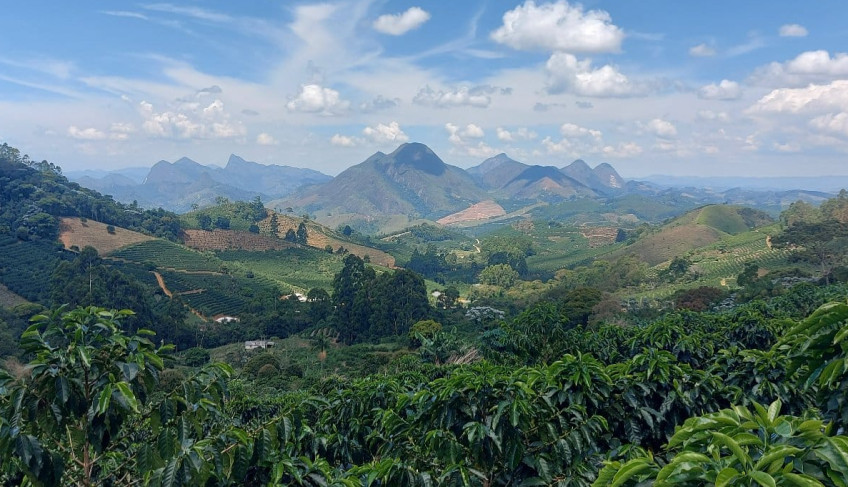 ASN Espírito Santo - Agência Sebrae de Notícias