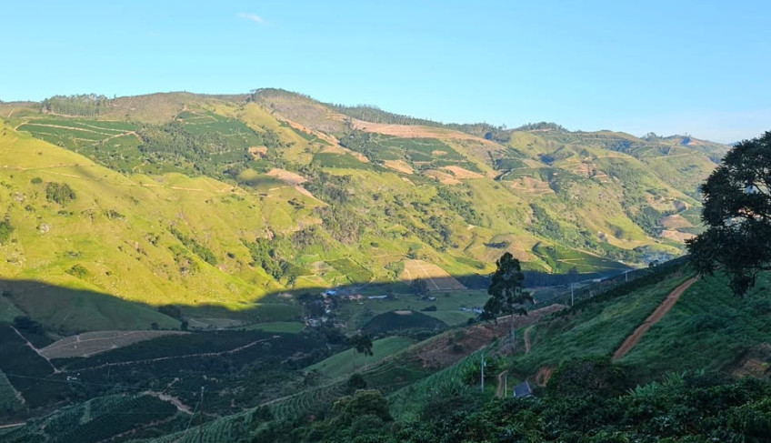 ASN Espírito Santo - Agência Sebrae de Notícias