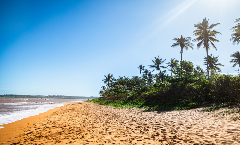 ASN Espírito Santo - Agência Sebrae de Notícias