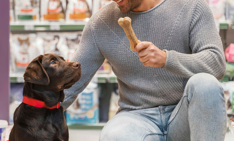 ASN Espírito Santo - Agência Sebrae de Notícias
