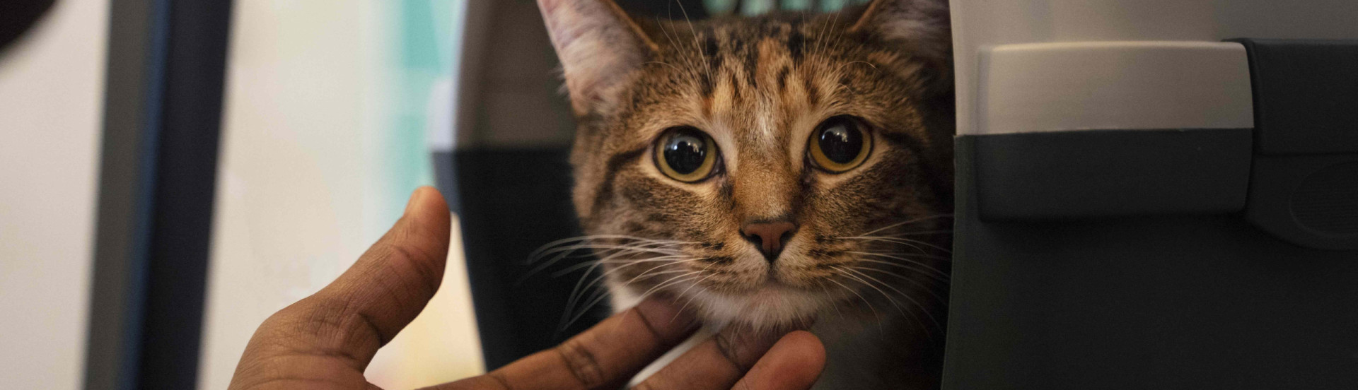 ASN Espírito Santo - Agência Sebrae de Notícias