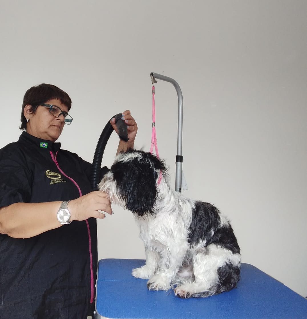 Elza de Azevedo passou a divulgar seus servi&ccedil;os no condom&iacute;nio